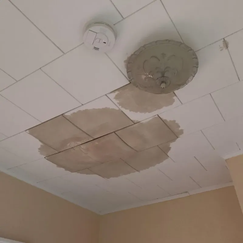 Ceiling Water Damage Repair in Barber County, KS