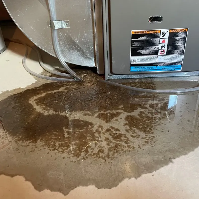 Pipe Burst and Leak Restoration in Barber County, KS